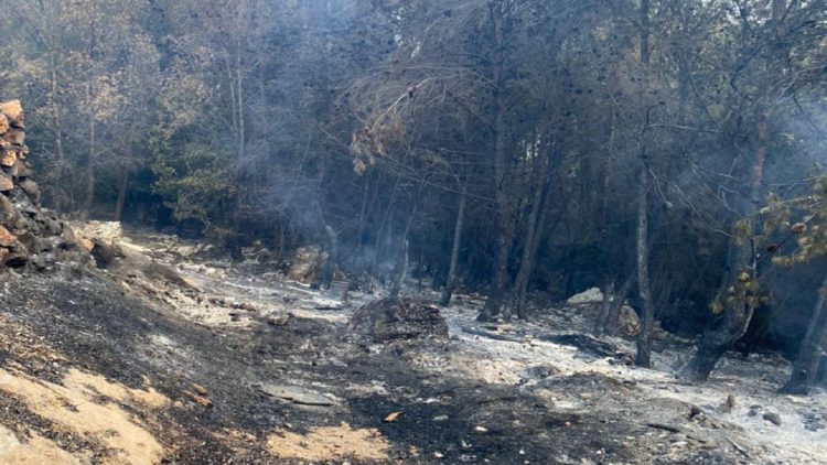 14 hours of battle with flames! The fire in Kruja is extinguished