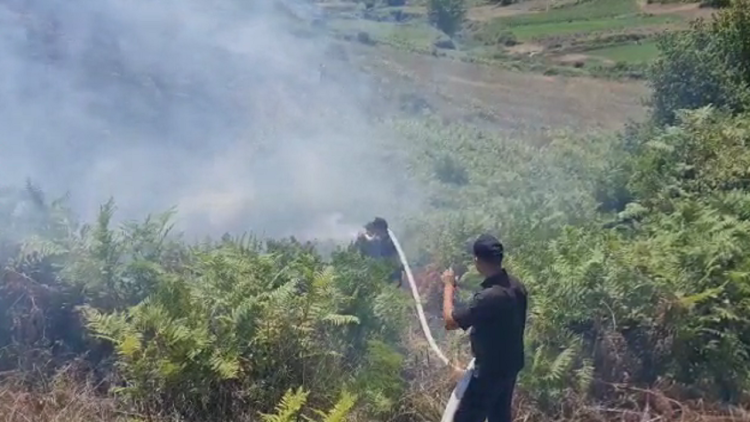 Fier/ Two fires in the hills of the village of Peshtan, nearby houses are at risk