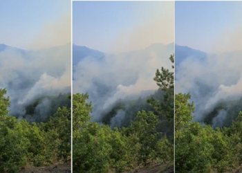 The forest is engulfed in flames in Orosh of Mirdita, 4 fire engines and a helicopter are activated to extinguish the fire