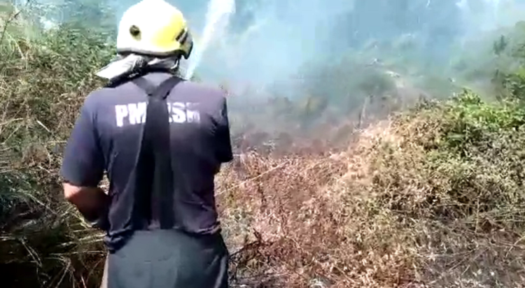 Fire in Derven i Kruja, fruit trees burn